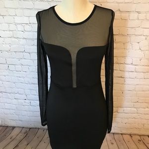 Sheer Long Sleeve Bodycon Dress